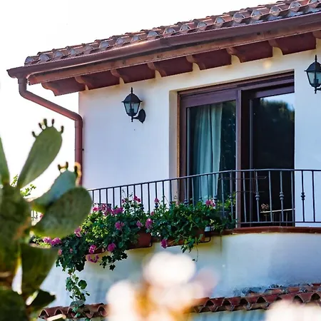 Comfortable In 50 Sqm, Sea View, Garden * Capitana
